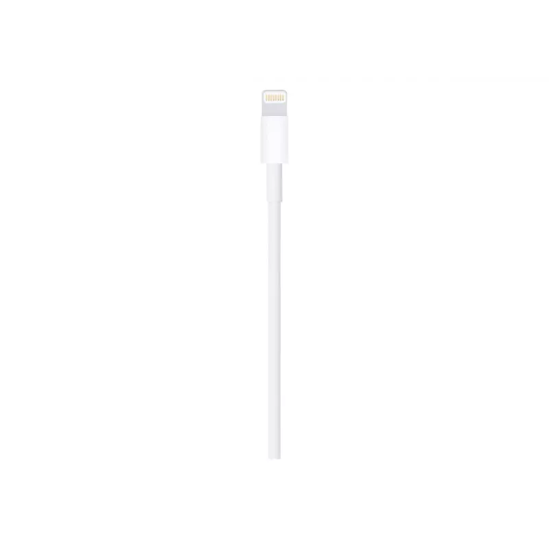 Apple Lightning į USB kabelis 1m MUQW3ZM/A