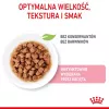 Šlapias kačių ėdalas Royal Canin Sterilised Gravy, 12 x 85 g maišeliai — vištiena, sterilizuotiems/ kastruotiems kačiukams, 11% baltymų, 80,5% drėgmės