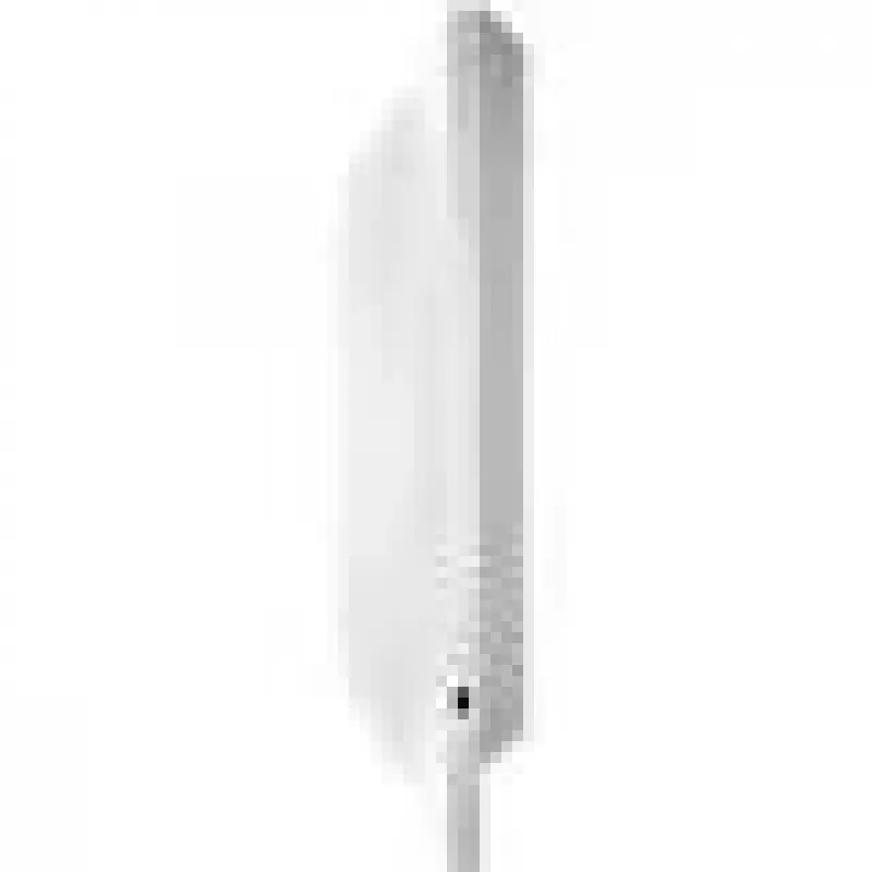 Grandstream Networks GWN7660 belaidis prieigos taškas 1770 Mbit/s Balta Galia over Ethernet (PoE)