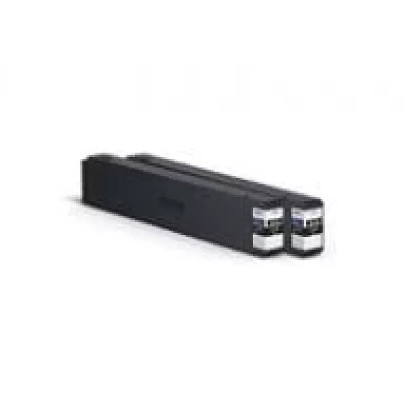 Originali Epson T04Q100 juodas rašalinis kasetė, didelio našumo (XL), suderinamiems Epson spausdintuvams