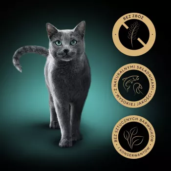 Šlapias kačių maistas Sheba Nature's Collection Mix 40×85 g maišelių pakuotė — suaugusioms katėms, pagrindinis skonis kalakutiena, drėgmė 83 %, baltymai 7,8 %
