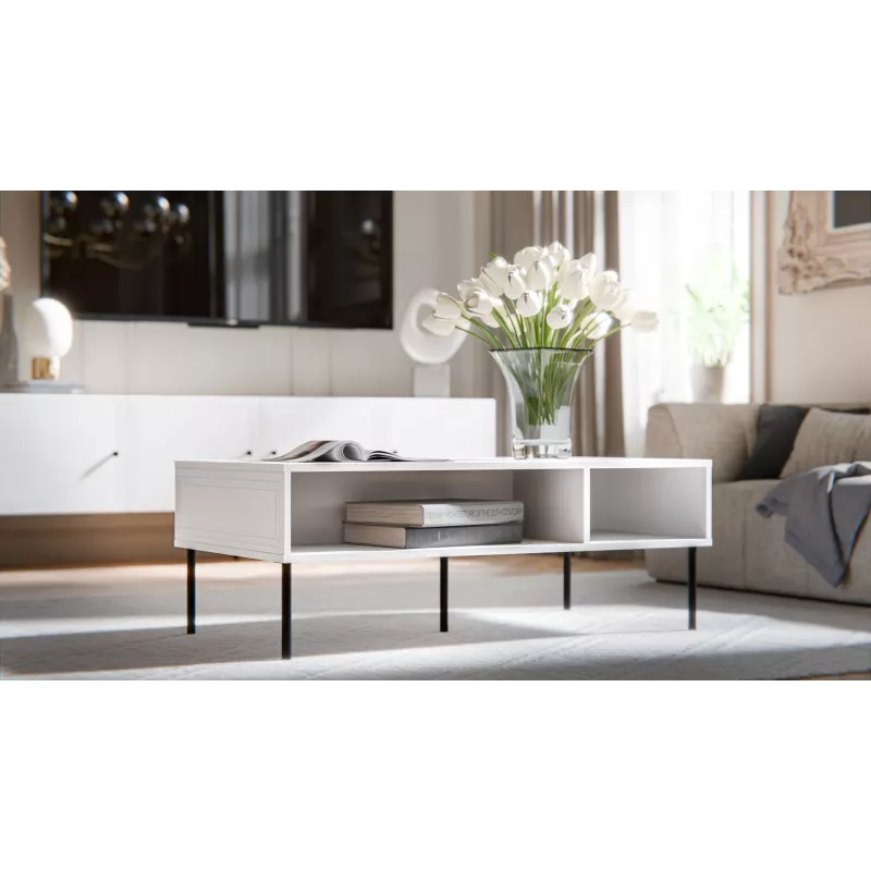 PALAZZO BIS table/latrine 110x60x40 baltas matinis