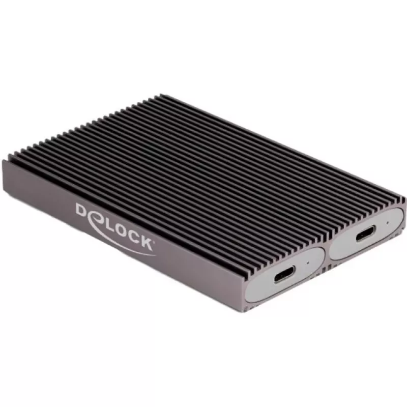 DeLOCK 42028