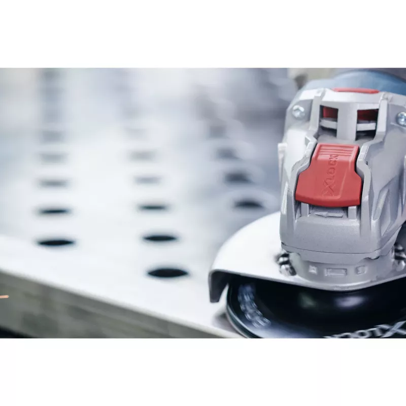 Bosch 2 608 619 164 kampinio šlifuoklio priedas Šlifavimo diskas