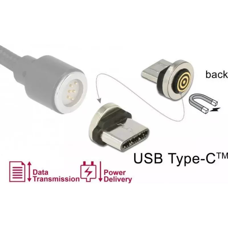 Jungties adapteris DeLOCK 65933