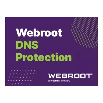 Webroot | DNS Protection with GSM Console | 1 metai | Licencijų kiekis 10-99 naud.