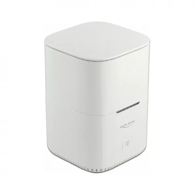 SSD korpusas DeLOCK 63331 Baltas M.2