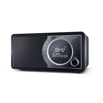 Sharp DR-450 skaitmeninis radijas - juodas, asmeninis, skaitmeninis, DAB, DAB+, FM, 87,5 - 108 MHz, 174,928 - 239,2 MHz, 3 W