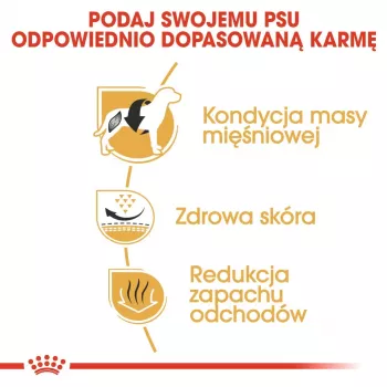 Sausas šunų ėdalas Royal Canin French Bulldog Adult 9 kg — kiauliena, 26 % baltymų, 18 % riebalų