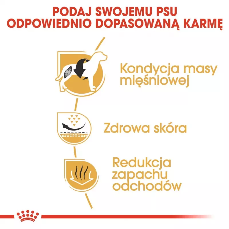 Sausas šunų ėdalas Royal Canin French Bulldog Adult 9 kg — kiauliena, 26 % baltymų, 18 % riebalų