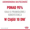 Sausas kačių maistas Royal Canin Digestive Care 4 kg — Suaugusios katės, paukštiena, virškinimo palaikymas