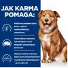HILL'S PD Canine Derm Complete - šlapias šunų ėdalas - 370g