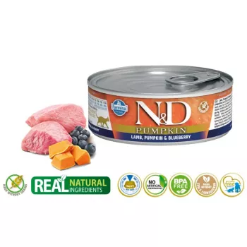Šlapias kačių maistas Farmina N&D Pumpkin ėriena su mėlyne pakelyje 70 g — be grūdų, suaugusioms katėms