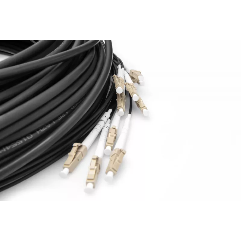 Breakout kabelis Digitus DK-2433CU030BK-BBB 30m OM4 12 skaidulų LC/UPC