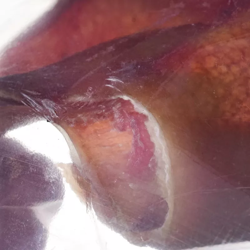 Šunų kramtalas PETMEX Pork Ear 40 g — natūralus kiaulės ausies dantų priežiūros skanėstas vidutiniams ir dideliems šunims