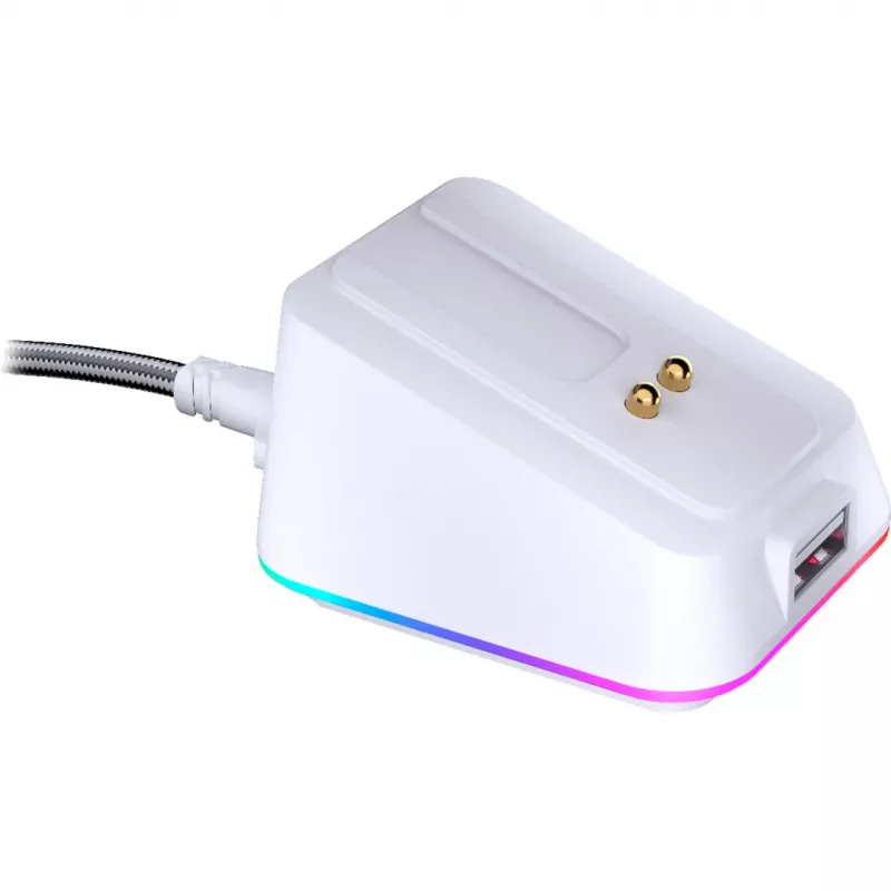 ENDORFY EY0F002 abiem rankoms tinkama RF belaidė USB Type-A pelė, balta