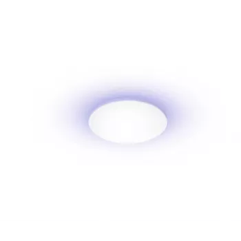 Yeelight Light išmanusis lubinis šviestuvas C 2201C300