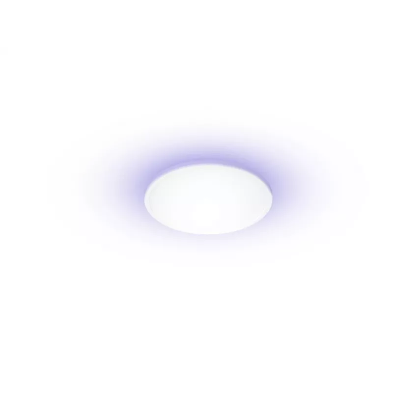 Yeelight Light išmanusis lubinis šviestuvas C 2201C300