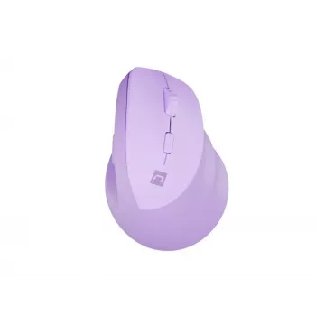 NATEC Crake 2 pelė universali dešiniarankiams RF belaidė + Bluetooth optinė 2400 DPI