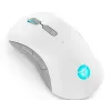 Žaidimų pelė Lenovo Legion M600 RF Wireless + Bluetooth + USB Type-A, abiem rankoms tinkama, 16000 DPI, 9 mygtukai, įkraunama