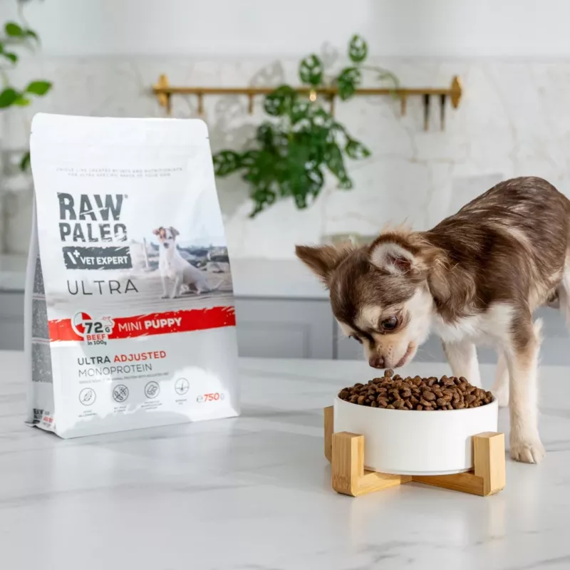 Sausas šunų maistas VETEXPERT RAW PALEO Ultra Mini Puppy Beef 2 kg — sausas trupininis maistas mažų veislių šuniukams, 30,5 % baltymų, 16,5 % riebalų