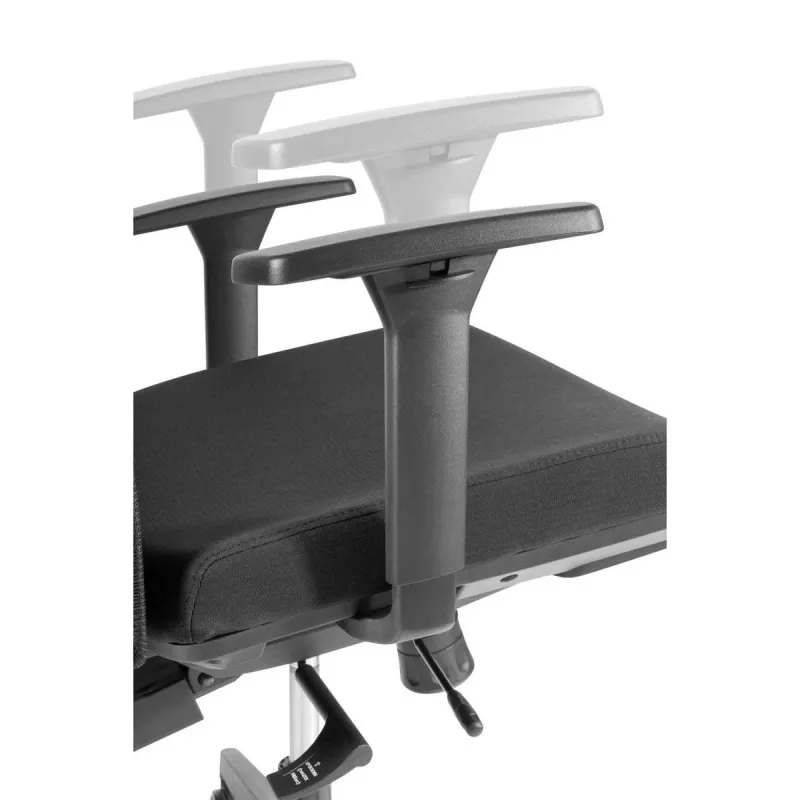 Ergonominė aukščiausios kokybės kėdė Ergo Officer ER-414