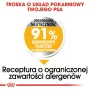 ROYAL CANIN Mini Dermacomfort - sausas maistas suaugusiems mažų veislių šunims, turintiems jautrią, sudirgimui linkusią odą - 3kg