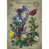 Dėlionė Ravensburger Circle of Life Butterfly 1000 dalių