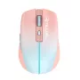 Belaidė pelė Tellur TLL491341 USB