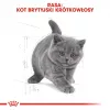 Sausas kačių maistas Royal Canin British Shorthair Kitten 2 kg – vištiena, 38% baltymų, 20% riebalų, augimo formulė