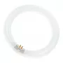 Osram O0014845 atminties modulis
