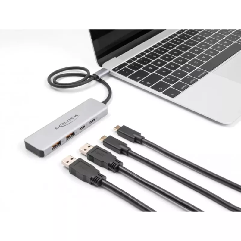 DeLOCK USB šakotuvas USB Type-C 10 Gbps 2x Type-A 2x Type-C 35 cm kabelis