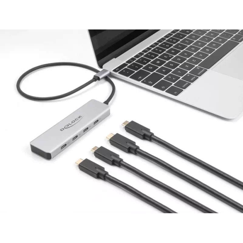 DeLOCK USB Type-C šakotuvas 10 Gbps 4 prievadai aliuminis pilkas