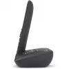 Analoginis / DECT telefonas Gigaset C575A