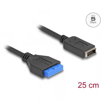 DeLOCK USB laidas kontaktinė jungtis vidiniam USB Type-E Key A 25 cm