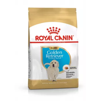 Royal Canin Golden Retriever Junior sausas šunų maistas 12 kg – paukštiena, 29 % baltymų, 16 % riebalų
