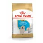 Royal Canin Golden Retriever Junior sausas šunų maistas 12 kg – paukštiena, 29 % baltymų, 16 % riebalų