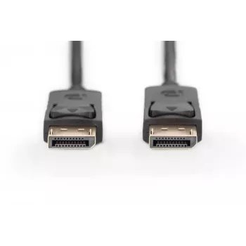 Prijungimo kabelis DisplayPort su užraktais 1080p 60Hz FHD DP / DP M / M juodas 3m