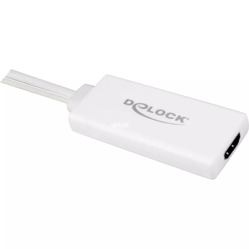 Delock 62460 Connectivity Accessory