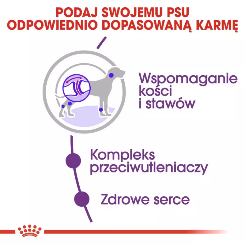 ROYAL CANIN Giant Adult - sausas šunų pašaras - 15 kg