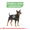 Šlapias šunų maistas Royal Canin Digestive Care mėsos ir daržovių paštetai 12 x 85 g — suaugę šunys, virškinimo palaikymas