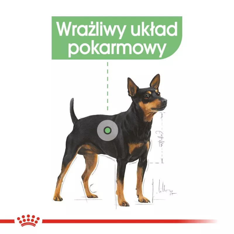 Šlapias šunų maistas Royal Canin Digestive Care mėsos ir daržovių paštetai 12 x 85 g — suaugę šunys, virškinimo palaikymas