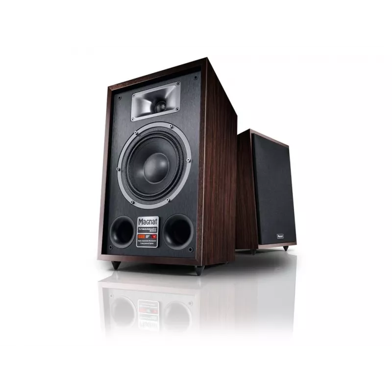 Ant grindų statoma kolonėlė Magnat TRANSPULS 800A, 2 krypčių, laidinė ir belaidė, 2×60 W, Bluetooth 5.0, HDMI, juoda/ruda
