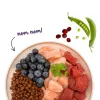BOSCH Sanabelle Adult Ostrich & Blueberries - sausas kačių maistas - 2 kg