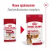 ROYAL CANIN SHN Medium Adult su padažu - drėgnas ėdalas suaugusiems šunims - 10x140g