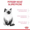 Sausas kačių maistas Royal Canin Kitten 2 kg — paukštienos (vištienos) formulė, baltymai 36%, riebalai 18%