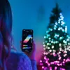 Twinkly Candies LED Kalėdų eglutės lemputės TWKP100RGB-T 6 m 100 perlų formos lempučių
