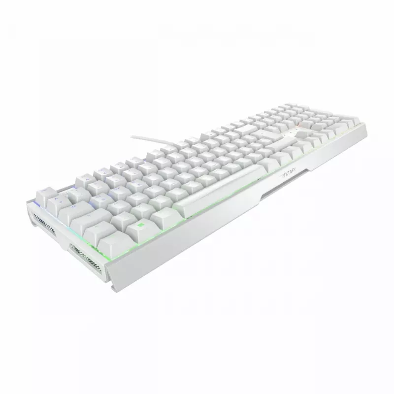 Klaviatūra CHERRY XTRFY MX 3.1 Mechaninė RGB Laidinė Pilno dydžio QWERTZ