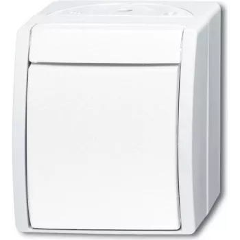 BUSCH-JAEGER tarpinis jungiklis 2601/7W-54 ocean Alpine Balta IP44 svirtinis jungiklis 2601/7W-54 (2601/7W-54)