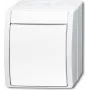 BUSCH-JAEGER tarpinis jungiklis 2601/7W-54 ocean Alpine Balta IP44 svirtinis jungiklis 2601/7W-54 (2601/7W-54)